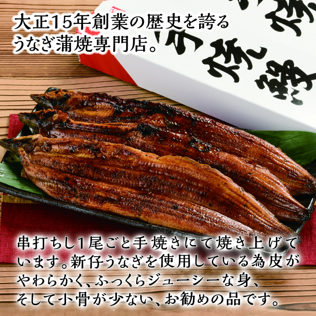 e-ショップオークワ本店 / 五郎藤 国産手焼きうなぎ 2尾